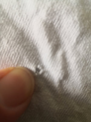 Geko T-Shirt